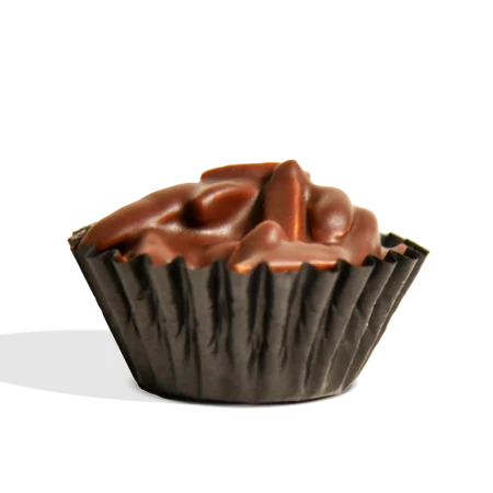Dark Chocolate Almond Crunch